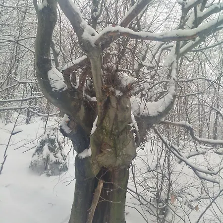 Bed&bike Dobra Nuc Dubrynychi